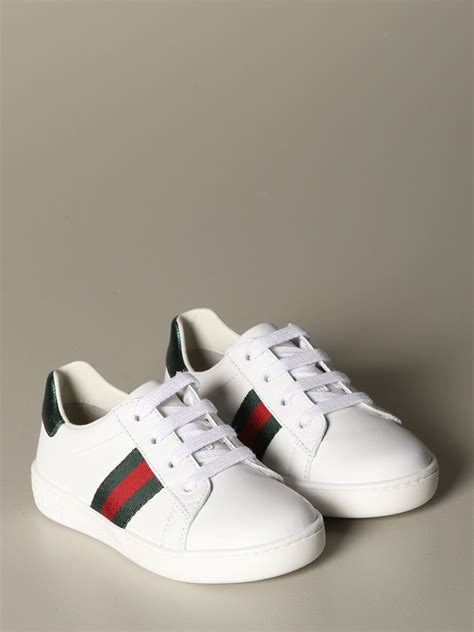 scarpe gucci